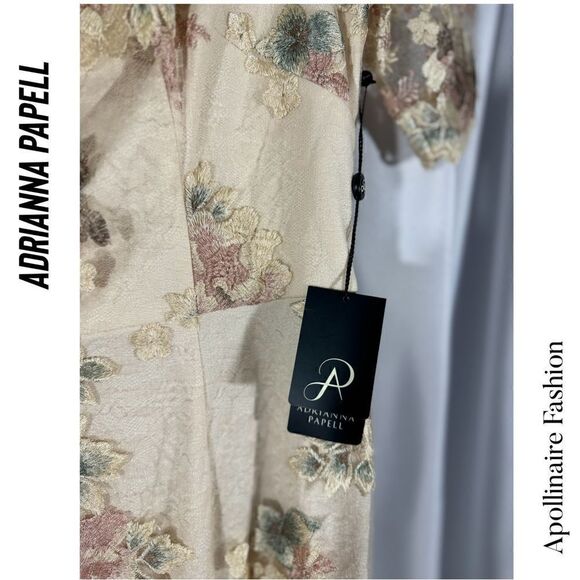 BHLD BY ADRIANNA PAPELL ROSE EMBROIDERED GOWN IN MINK SIZE 6 - Picture 6 of 8